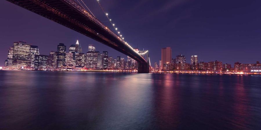 Studio sinh thái 2026