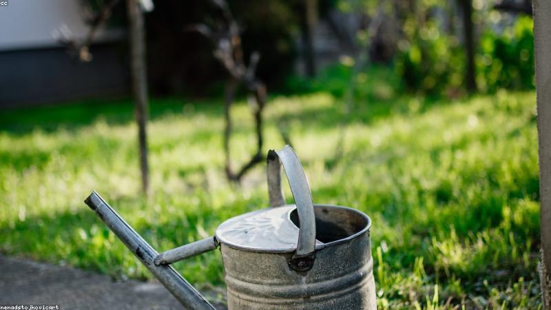 Thành phẩm phân hữu cơ chất lượng cao