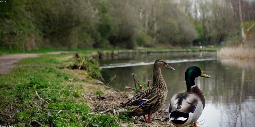 Lối sống hòa mình cùng thiên nhiên