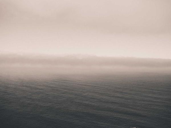 Green Wellness 2026 detail