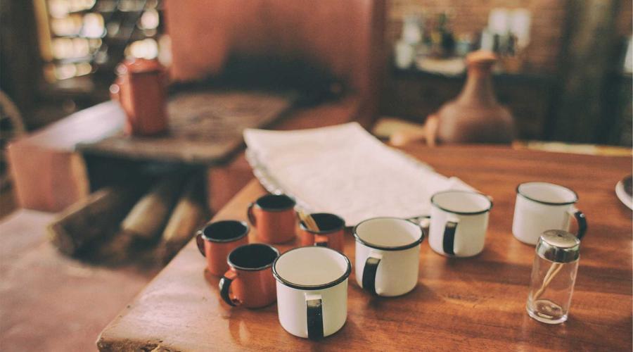 Coding Professionalism