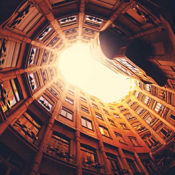 Nootropics Concept 2026