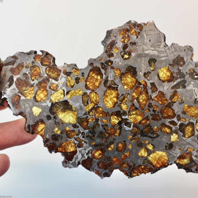 Mật Ong Hoa Nhãn Nguyên Chất