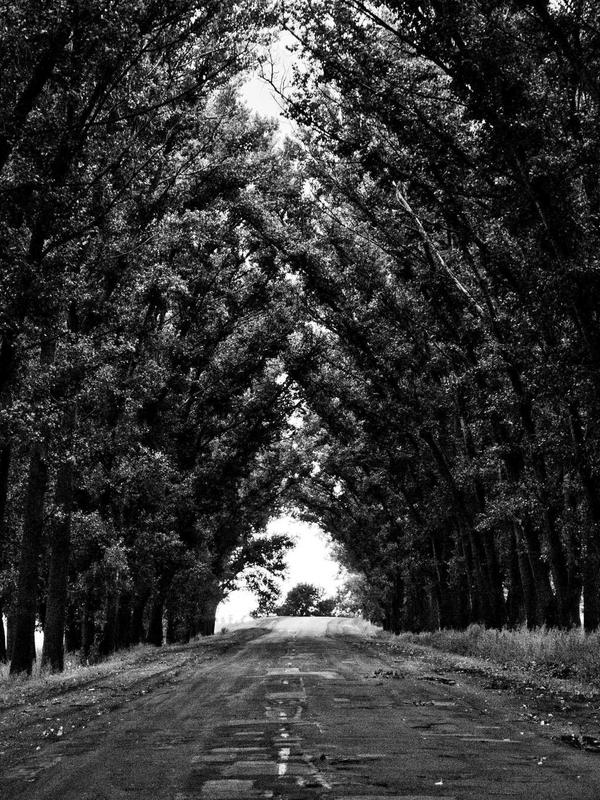 Children Learning Finance