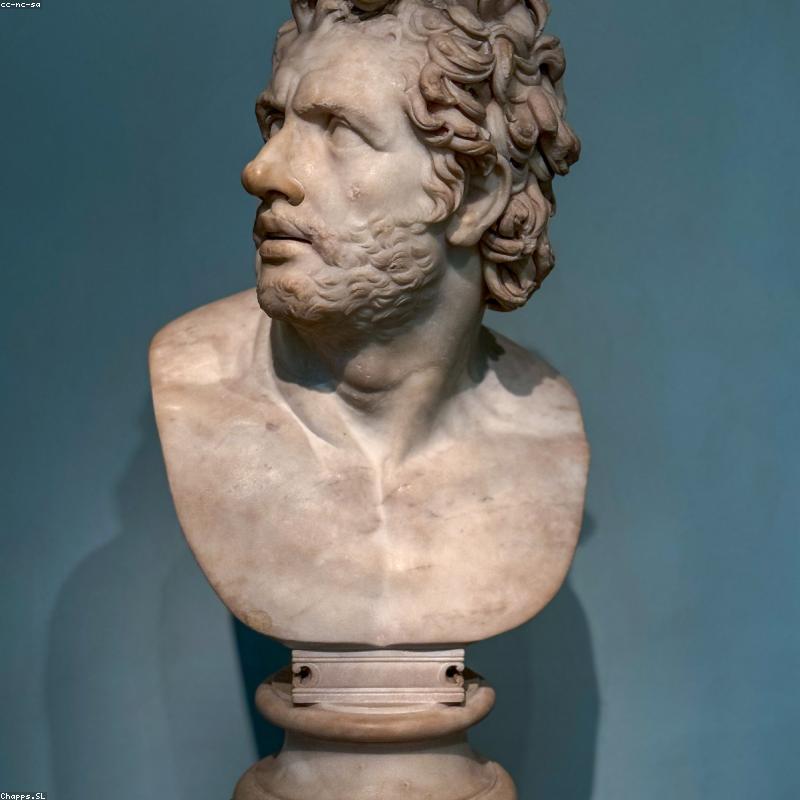 Máy Ảnh GoPro Hero 12 Black