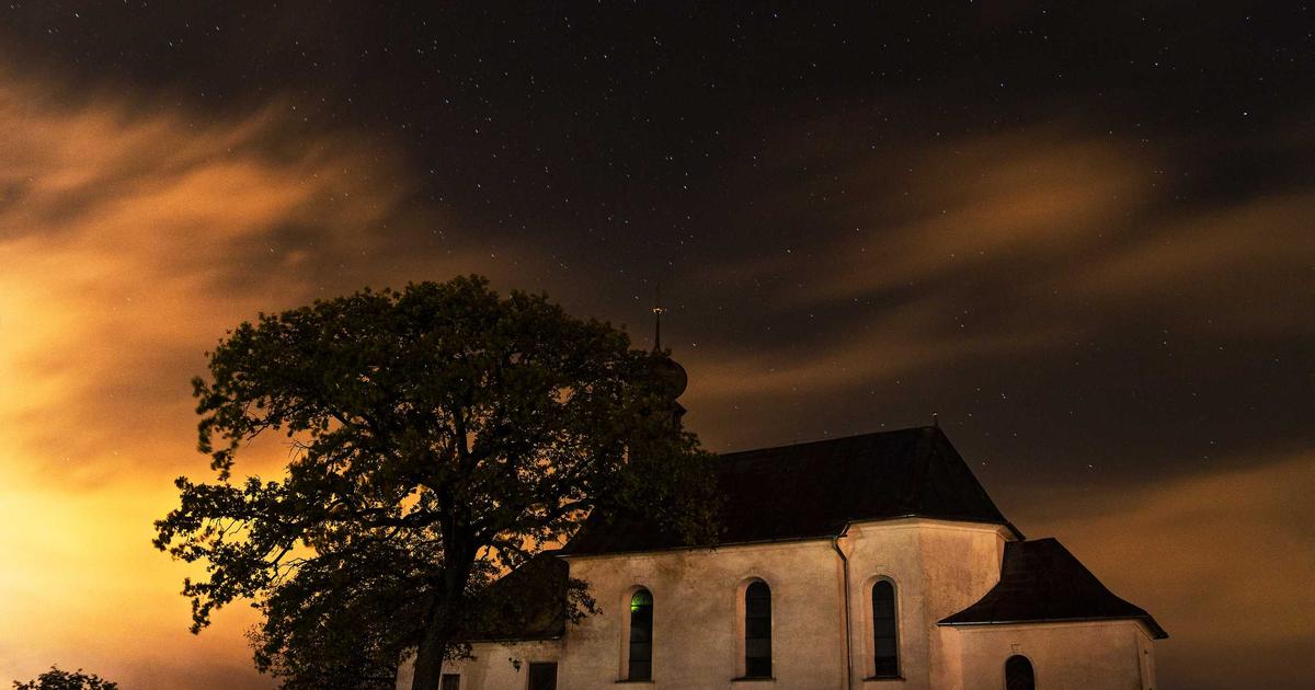 Bùng nổ xu hướng 'Butterfly Cut': Tăng 300% lượt tìm kiếm, vì sao kiểu tóc này thống trị mạng xã hội?