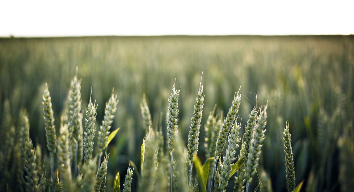 Technological camera lens of professional flycam 2026