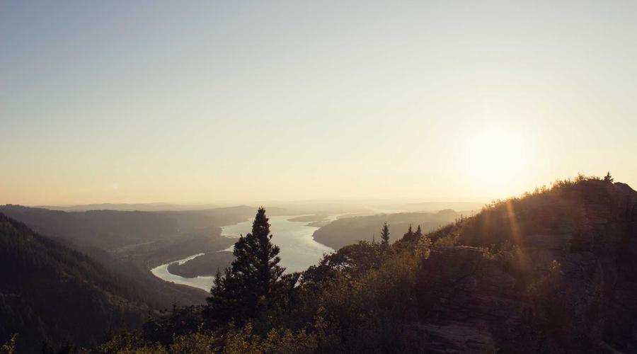 Sustainable Growth Symbol