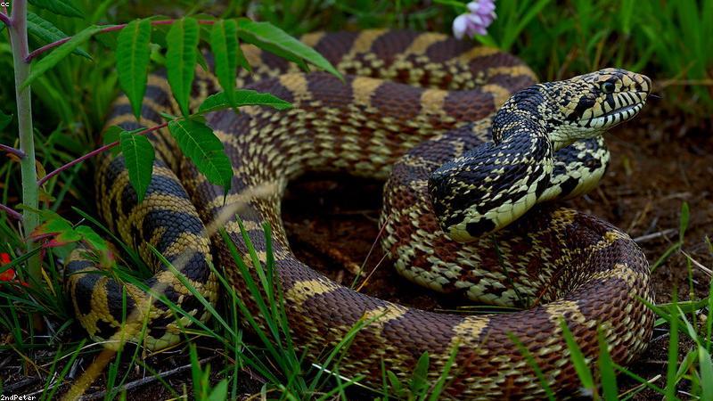 Công nghệ phân tích dữ liệu