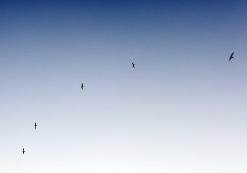 Generative UI concept