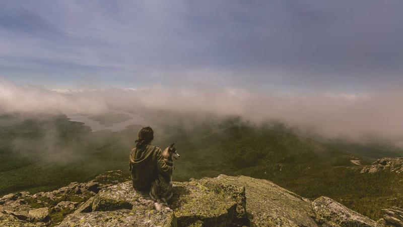 Lộ trình chuyển đổi số