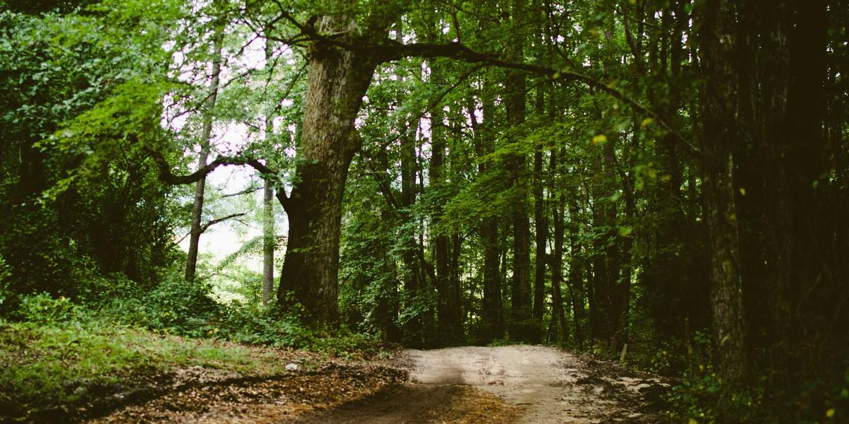 Hệ thống pin lưu trữ năng lượng khổng lồ