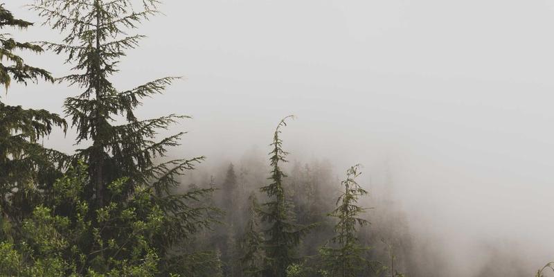 Cổng đầu tư smart 2026