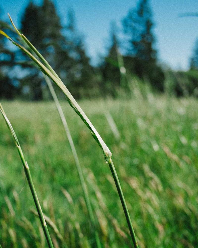 Quy trình chế tác giày