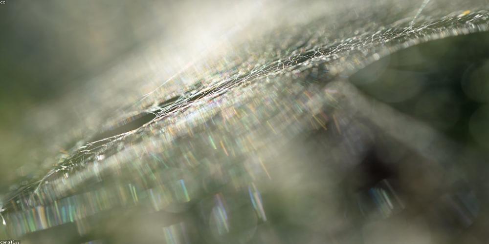 Future of Web Development