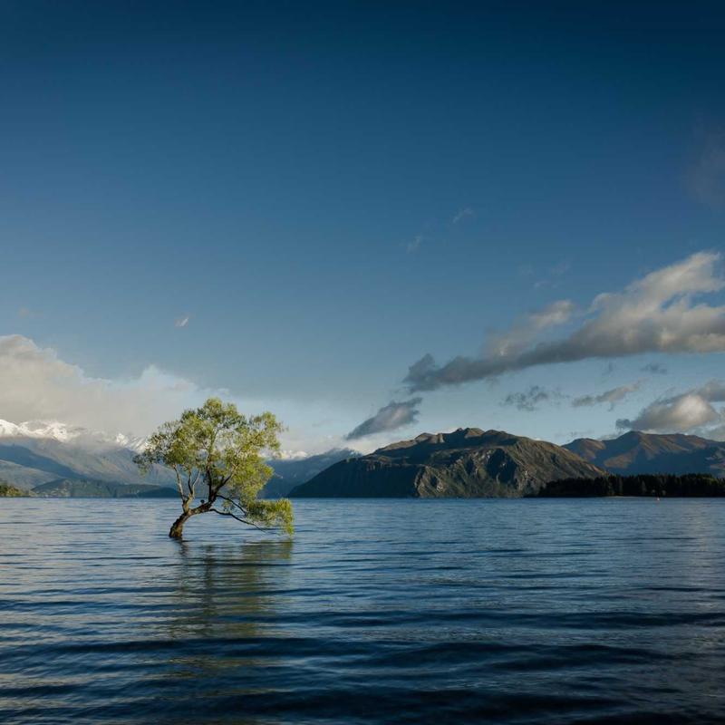 Set Nội Y Ren Pháp Quyến Rũ 3