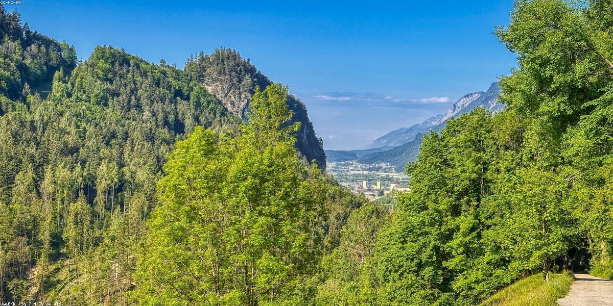 Yoga trong rừng sâu