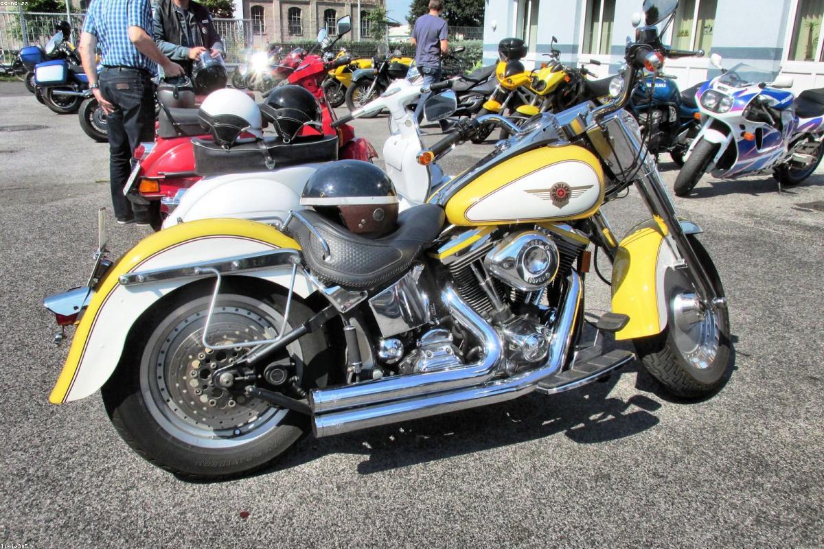 Đội ngũ chuyên gia Summit Finance