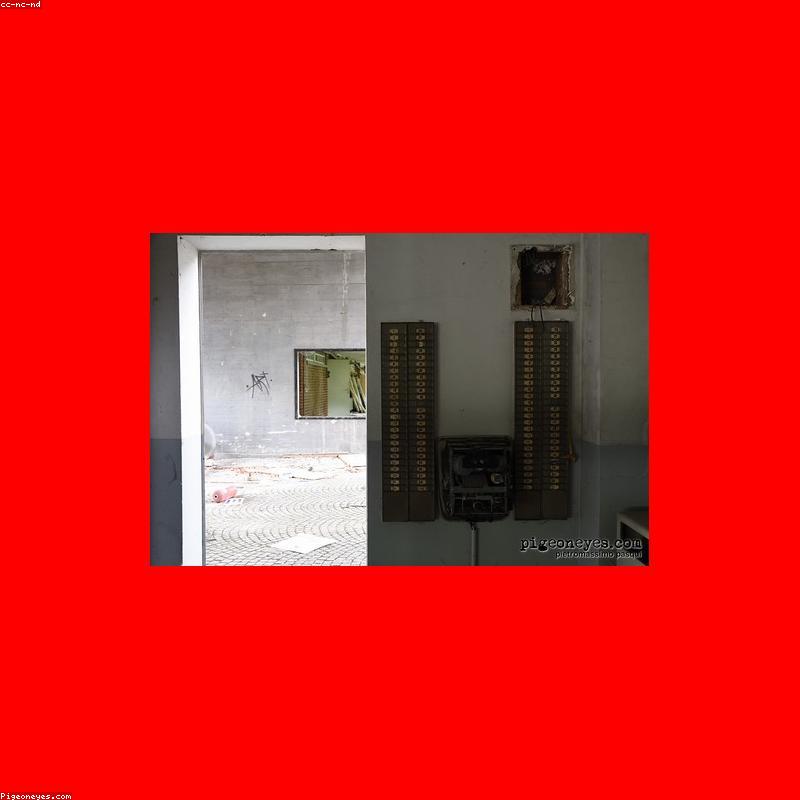 Bộ Body Suit Cotton Organic Cho Bé