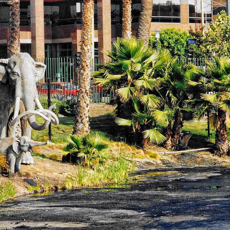 Găng Tay Đạp Xe Hở Ngón Chống Sốc Gel