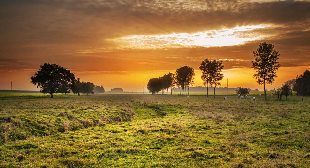 Jewelry Crafting 2026