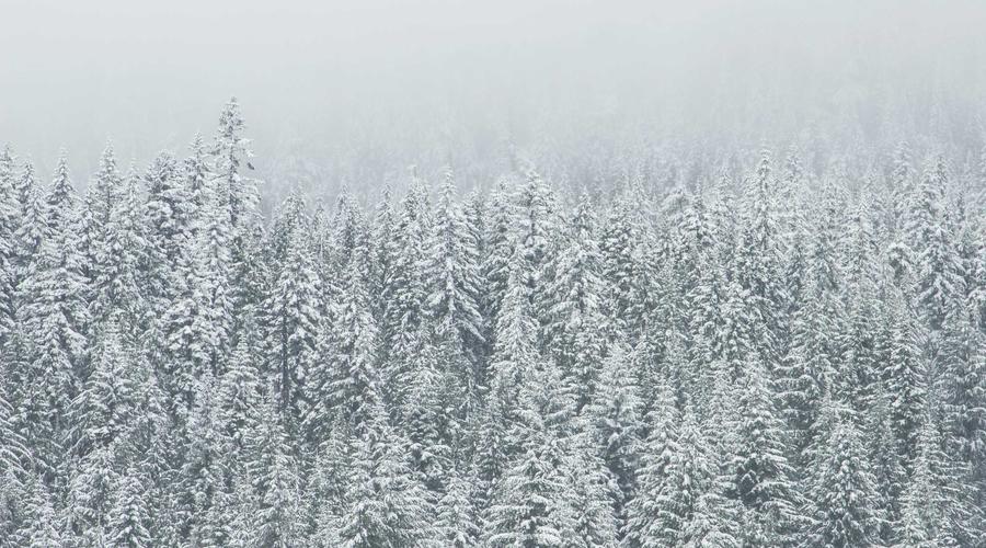 Giao diện tối giản và tinh tế