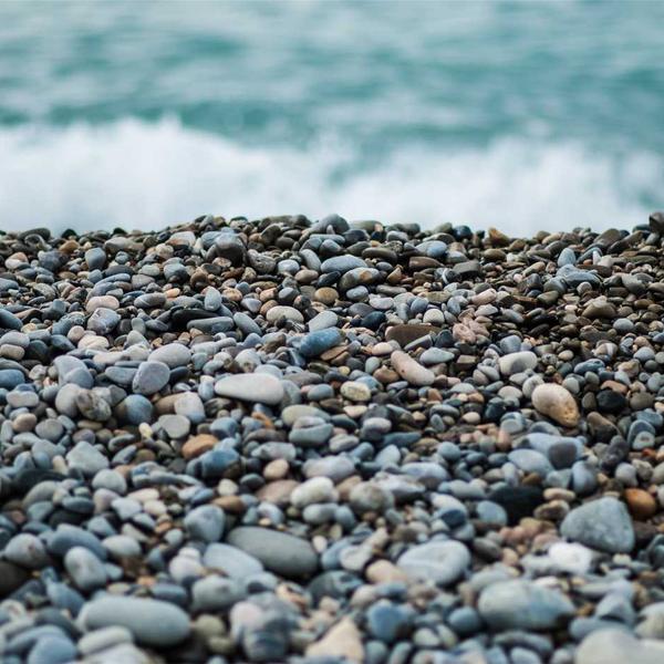 Botanist Terra Skincare