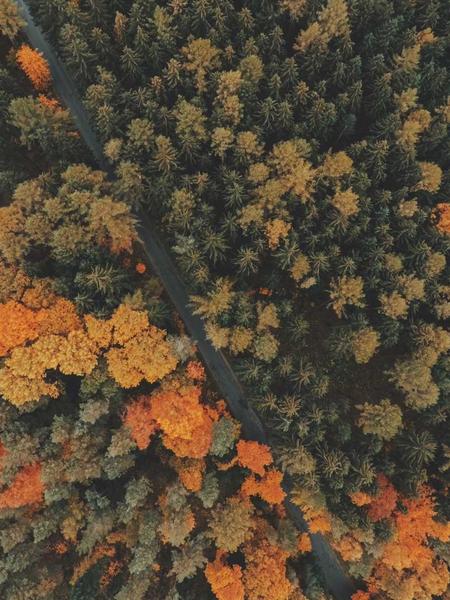 Công nghệ y tế hiện đại 2026