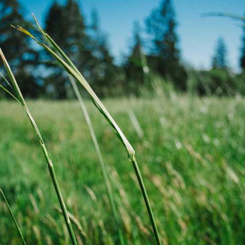 Tác phẩm gốm mộc 2026