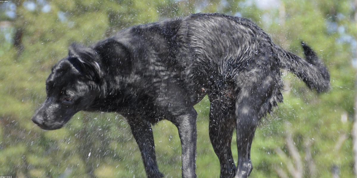Lab research dermatology