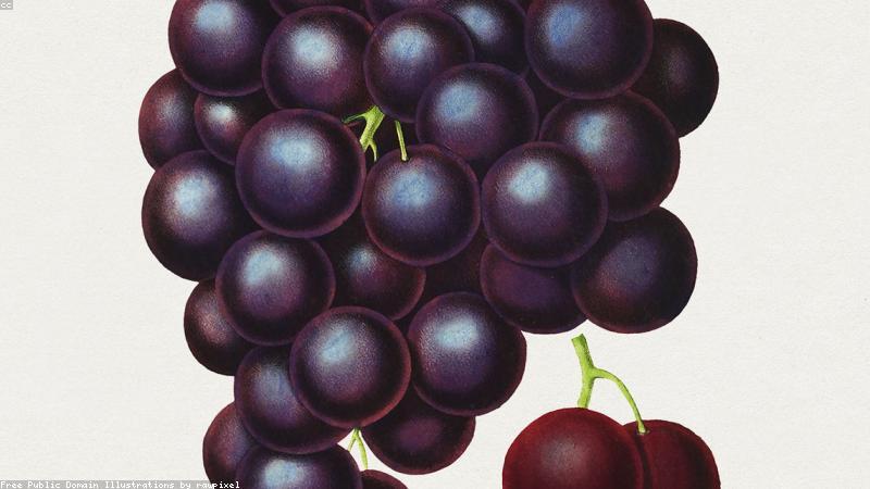 Nguyên liệu tự nhiên trong sản phẩm zero waste