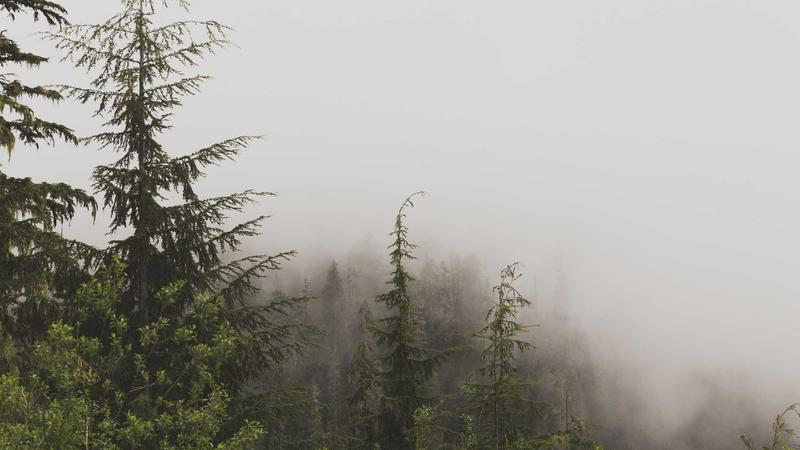 Tương lai công nghệ tại Việt Nam