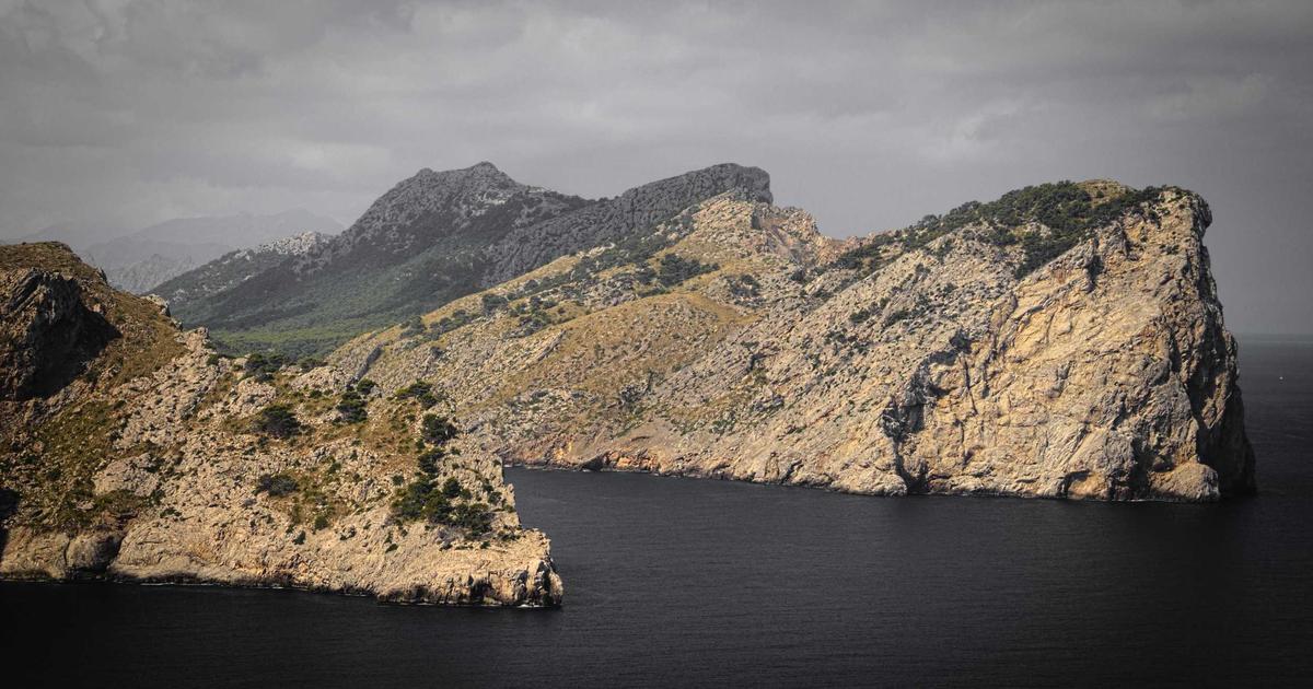 Phân tích: Tại sao thiết kế website tự động bằng AI giúp doanh nghiệp tiết kiệm 80% chi phí?