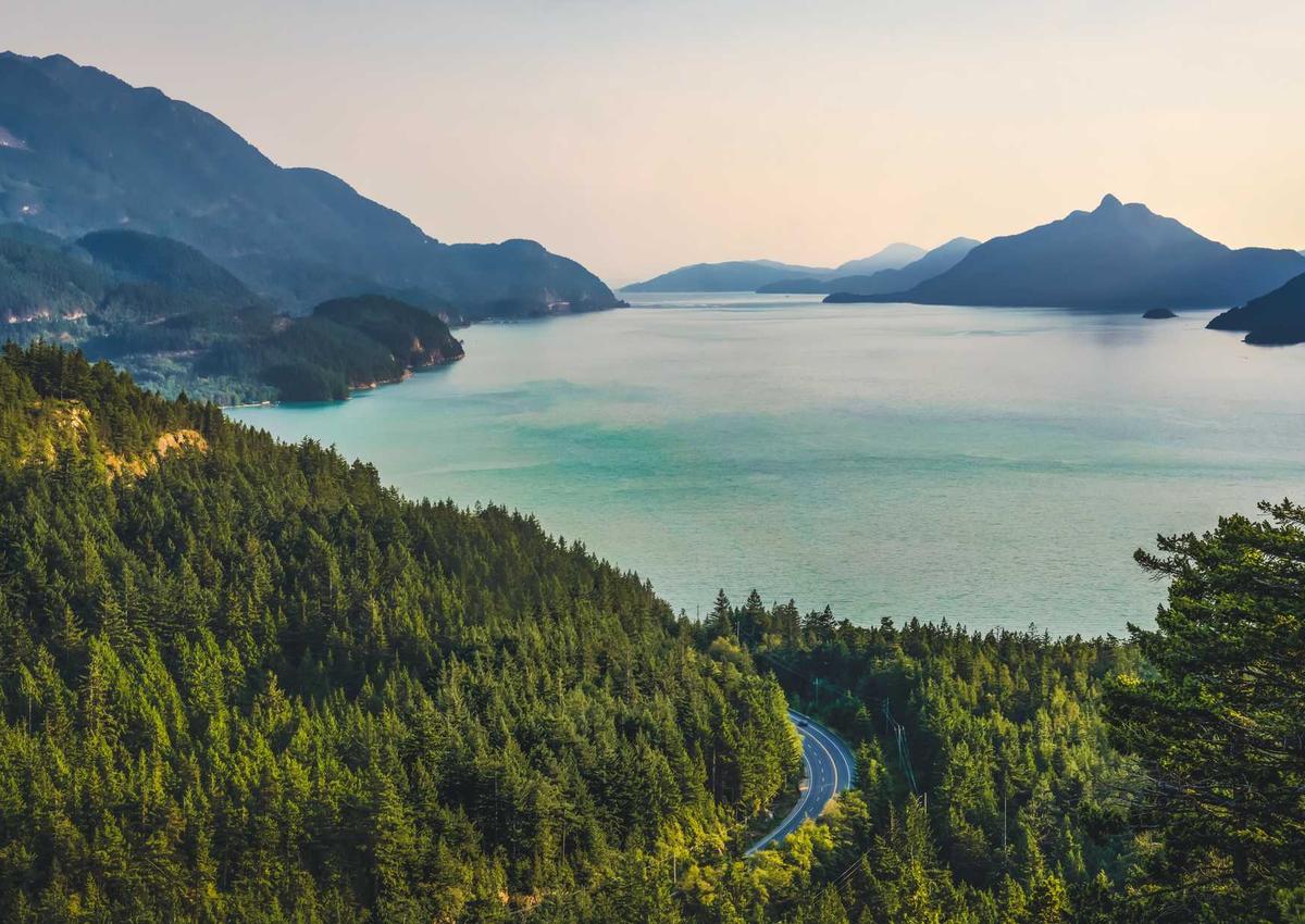 Eco-Luxe Dyeing Experience