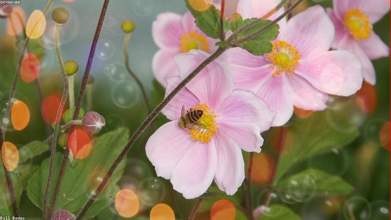 Hệ thống năng lượng sạch