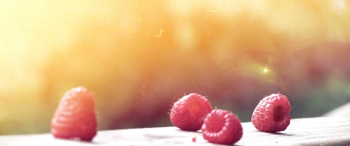 Phân tích nấm Mồng Gà