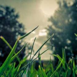 Găng tay haptic 2026