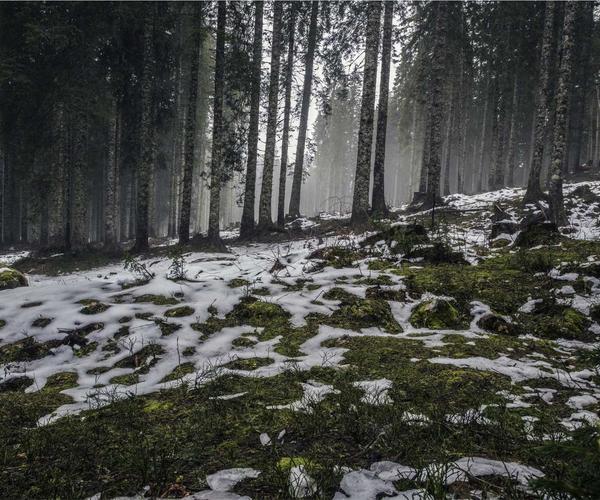 Chi tiết sản phẩm