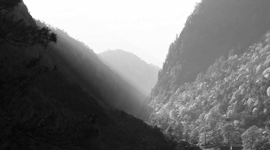 Truffle Selection 2026