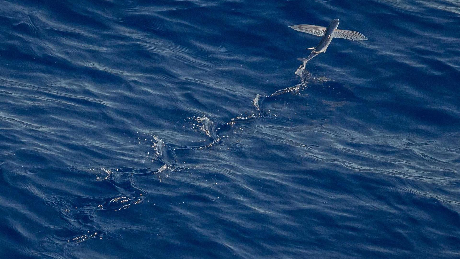 AI Technology Future