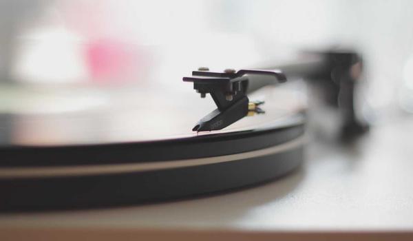 Grooming mèo chuyên nghiệp