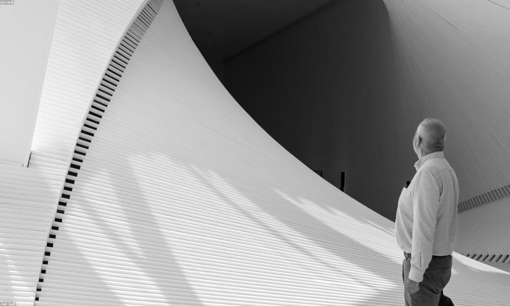 Câu cá trên boong tàu