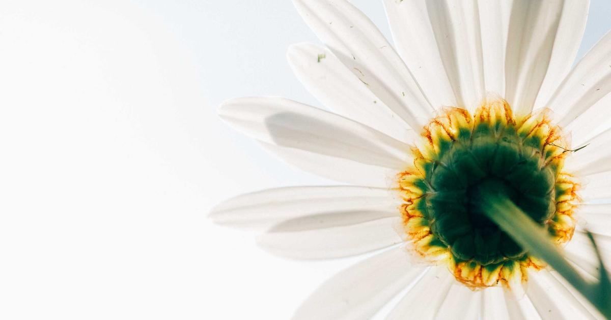 BrandGens cập nhật tính năng viết nội dung chuẩn SEO tự động bằng AI