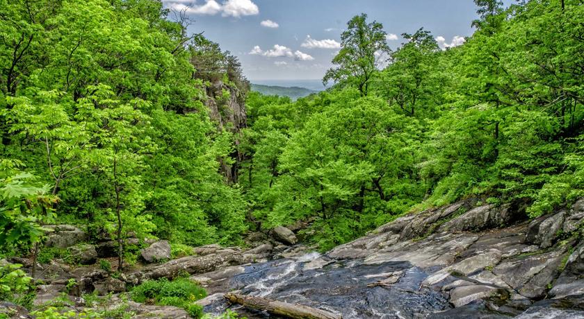 Học viên 2026 sử dụng công nghệ