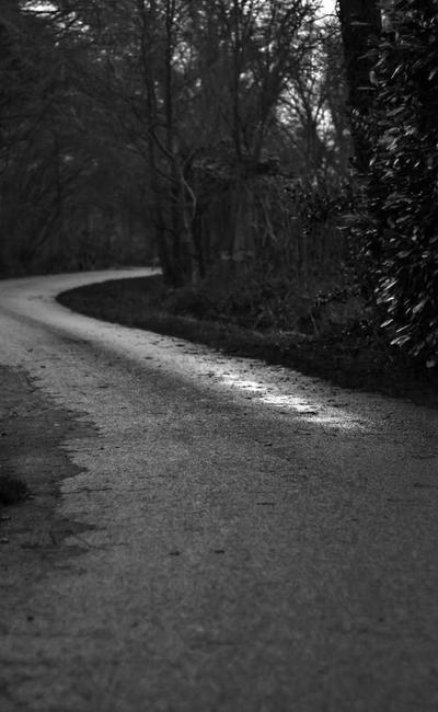 Trend Silver Charm 2