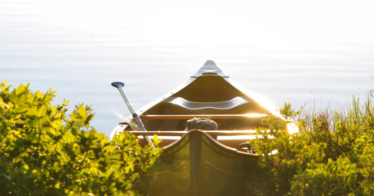 Hướng dẫn kỹ thuật kiểm soát sắc thái và lực ngón trong biểu diễn Piano chuyên nghiệp