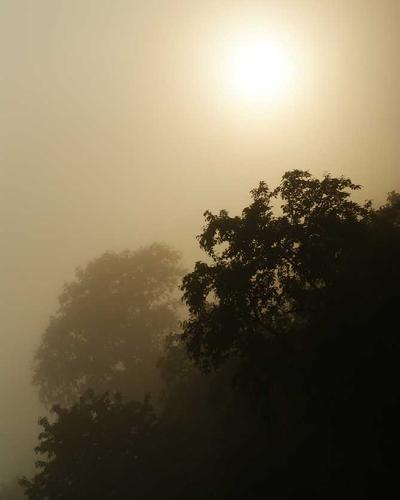 Túi vintage details 2