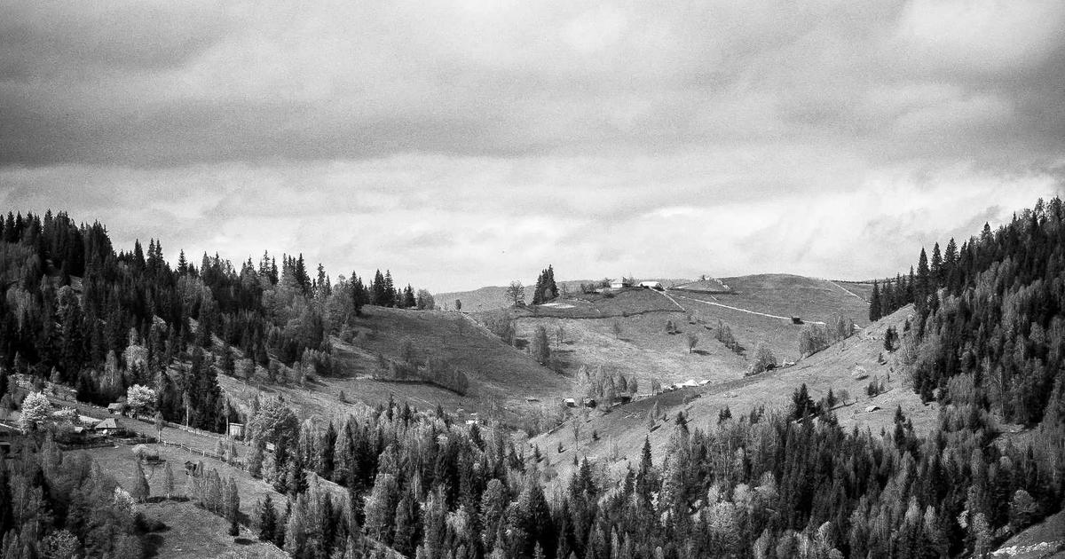 Phân tích chi tiết: Thiết kế website tự động bằng AI có thực sự vượt trội hơn phương pháp truyền thống?