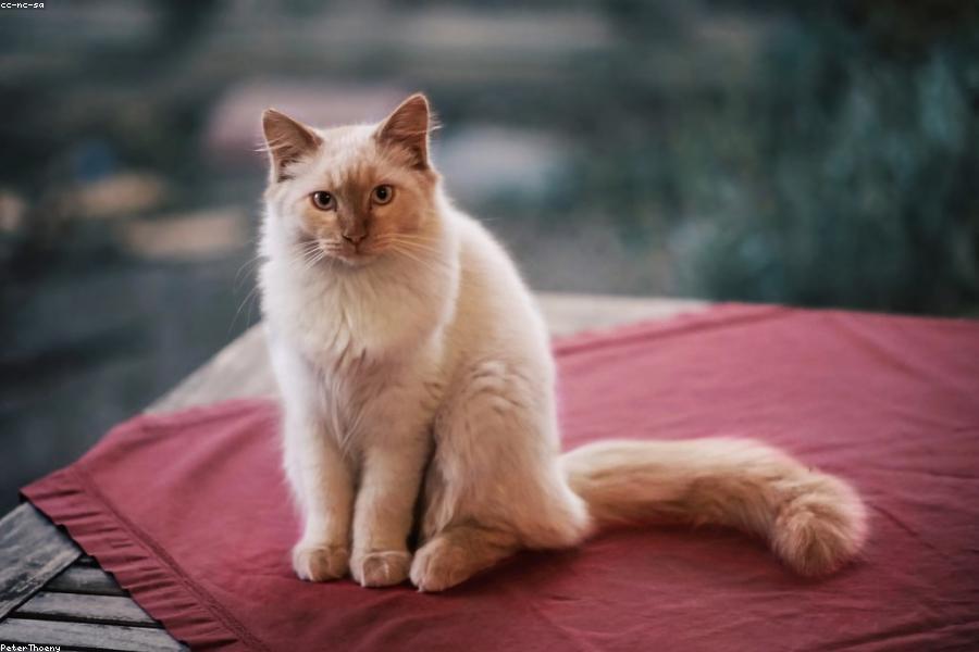 Intimate Wedding Dinner Setting