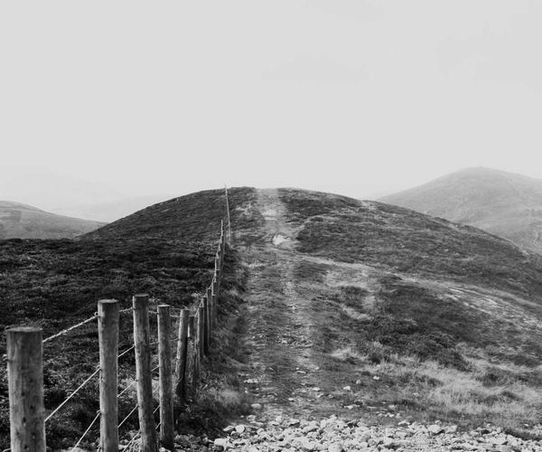 Bảng màu trang trí